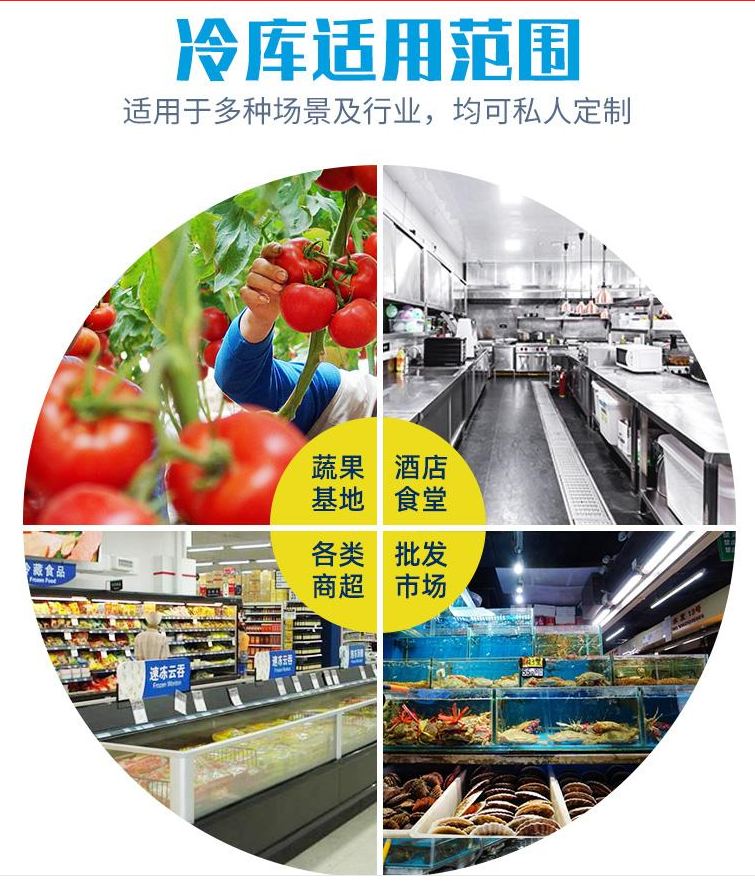 大中小型蔬菜冷库 专业设计安装优质鸡蛋鸭蛋冷藏库 远程控温