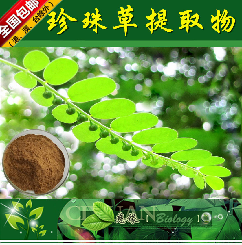 珍珠草提取物 10:1 珠仔草提取物 【SC厂家】叶下珠提取物