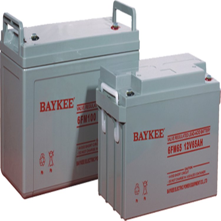 柏克蓄电池 BAYKEE蓄电池 6FM65 12V65AH ups蓄电池 直流屏蓄电池 eps蓄电池