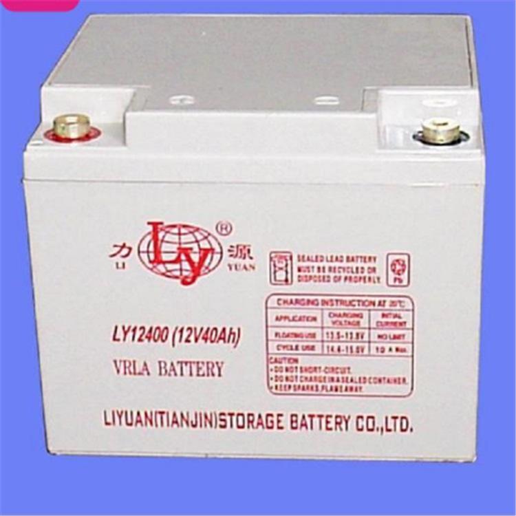 力源蓄电池LY12120 12V12AH直流屏 逆变器 UPS/EPS电源配套