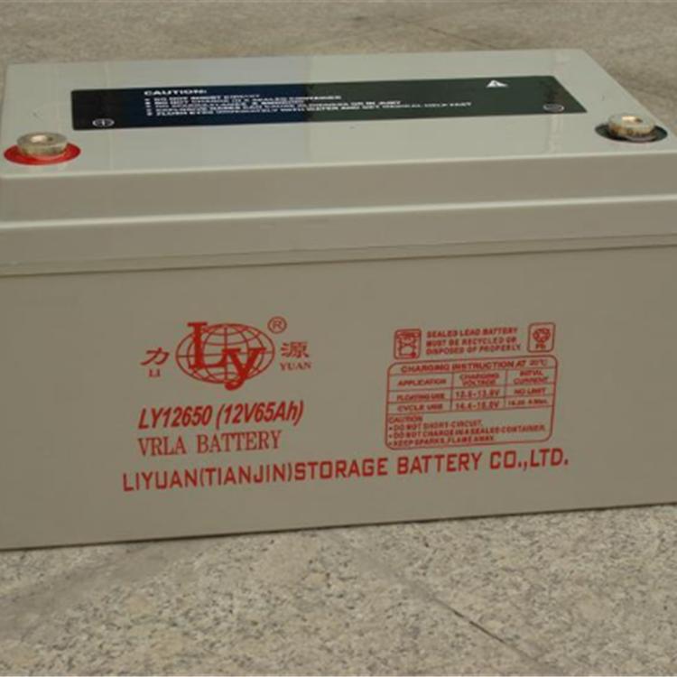 力源蓄电池LY121000 12V100AH直流屏 逆变器 UPS/EPS电源配套