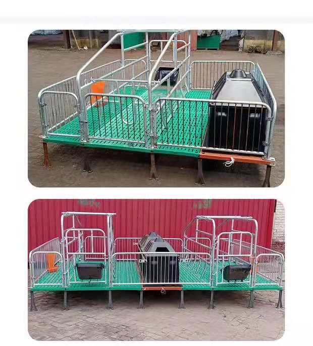 厂家生产铸铁双体母猪分娩床母猪限位栏仔猪保育床养猪设备