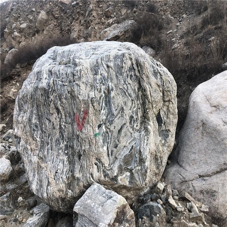 池州小型泰山石 池州泰山石价格 泰山石批发 点金园林厂家供应