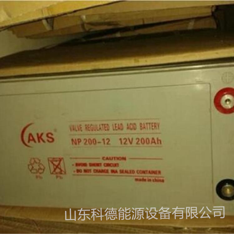 奥克松AKS蓄电池12V200AH发电厂/海洋设施NP200-12 直流屏UPS电源