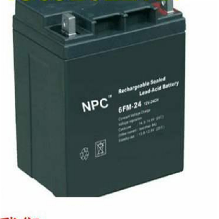 进口日本NPC蓄电池6FM-200/12V200AH阀控密封式铅酸蓄电池