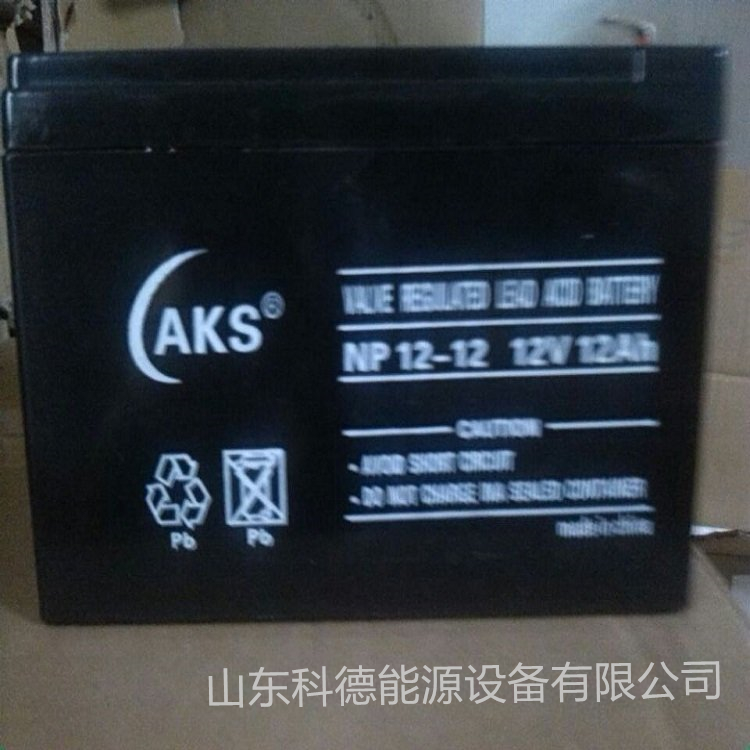 奥克松 AKS蓄电池12V38AH 消防/仪器/UPS蓄电池普通干电池1号通用