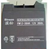 滨松Binson蓄电池FM100-12正品包邮12V100AH直流屏UPSEPS电力储能
