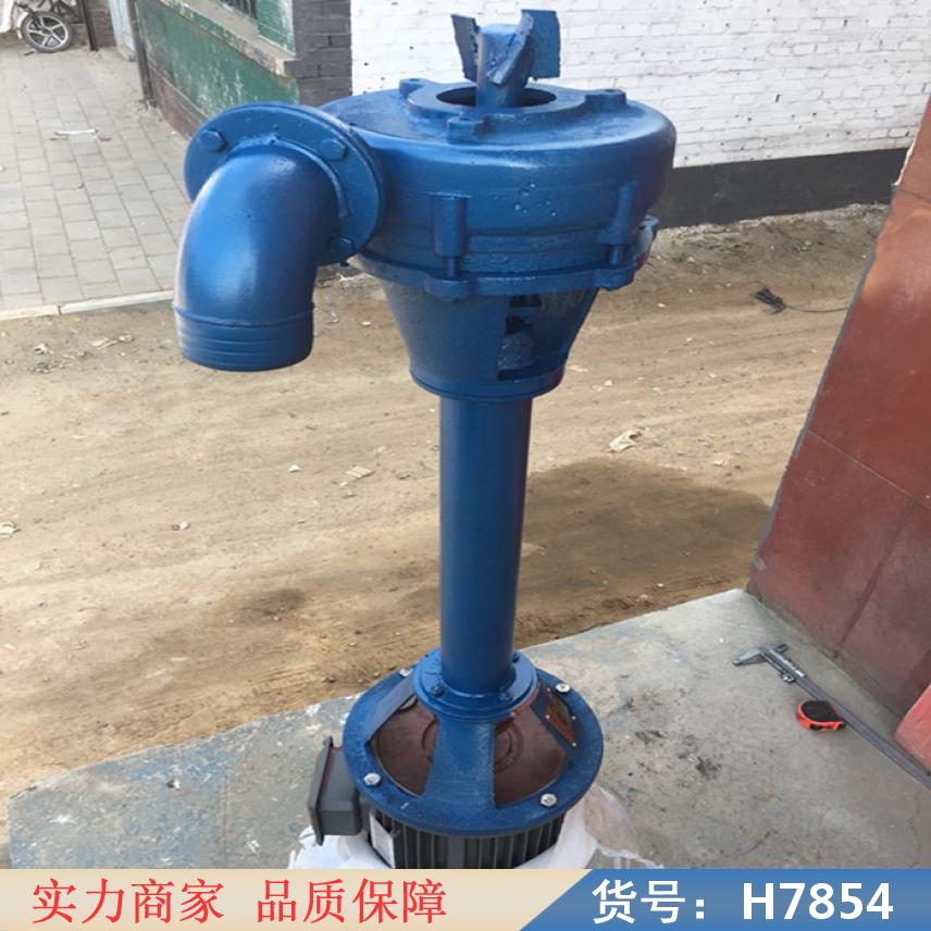 钜都液下泥浆泵 电厂用的泥浆泵 衬氟强制泥浆泵货号H7854