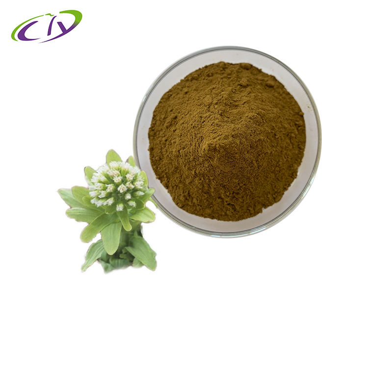 慈缘生物 SC厂家 蜂斗菜提取物10:1 蜂斗菜粉 蛇头草提取物 片剂胶囊原料