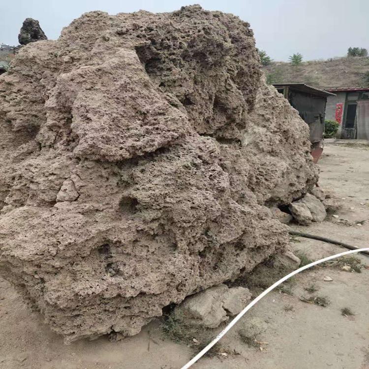 湖南吸水石盆景  点金园林供应假山吸水石 庭院吸水石
