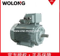卧龙电气南阳公司YBBPX630-4 1800KW B35 6KV 电动机  