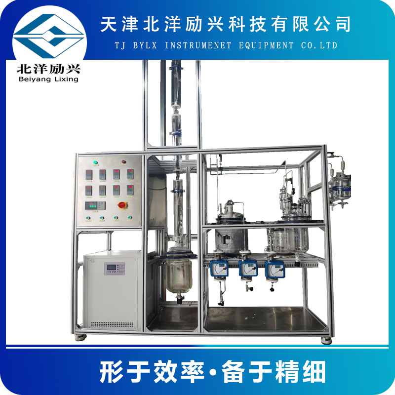 山东  北洋励兴加压精馏塔仪器