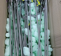 德国Ihne & Tesch GmbH 炼钢炉测温旋入式热电偶2299606