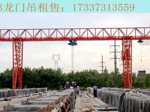 辽宁大连龙门吊厂家 对称的双梁结构