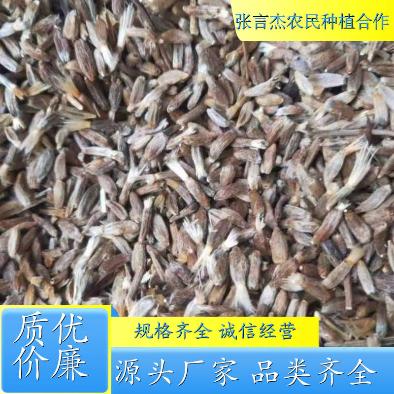 白术种子 白术种子的栽培方法 白术种子种植基地 各种规格 成活率高