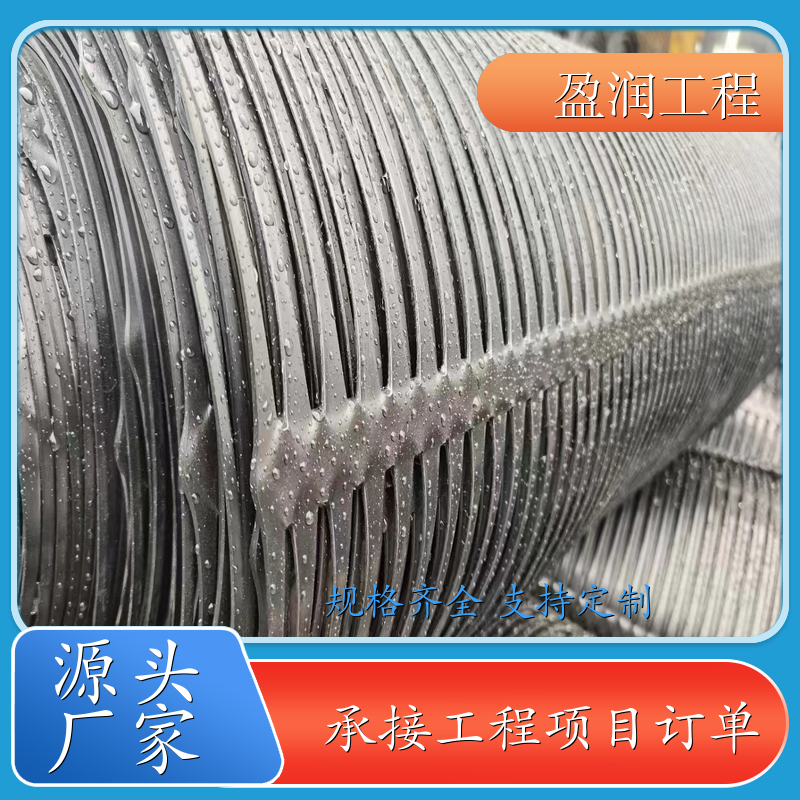 沈阳 单向塑料格栅生产厂家 加筋高 支持定制 盈润