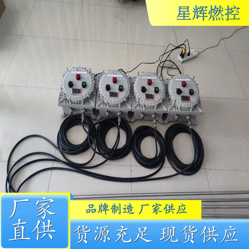 防爆便携式储能点火器 FBGQ-20J 耐高温定制 规格齐全 持久耐用