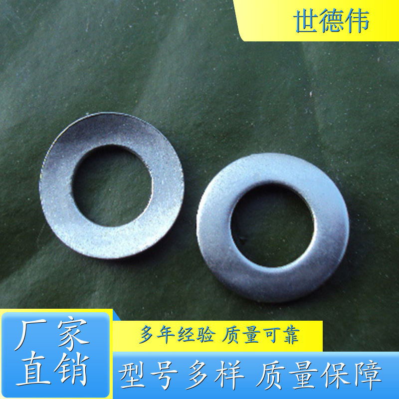 不锈钢平垫 异形件冲压加工 加厚五金平垫圈 镀锌垫圈