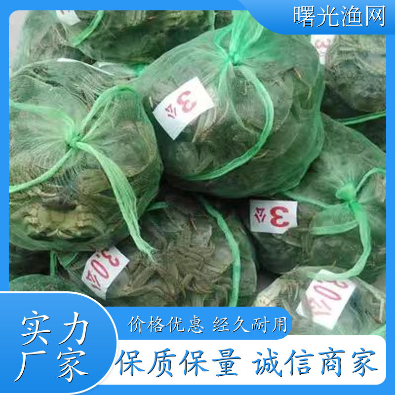 装螃蟹的网袋三角打包袋 不锈钢网袋 玩具网袋 建筑网袋 厂家