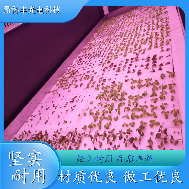 科普展示型植物工厂 牡丹江 箱内种植 技术指导