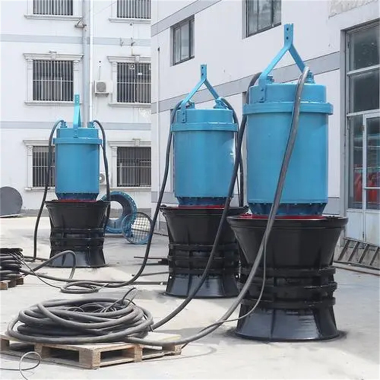 城市防洪排涝系统的主要构成和作用是什么
