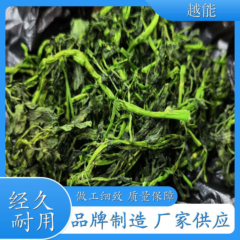 西洋菜烘干机 南宁 食品食物烘干机 产品加工