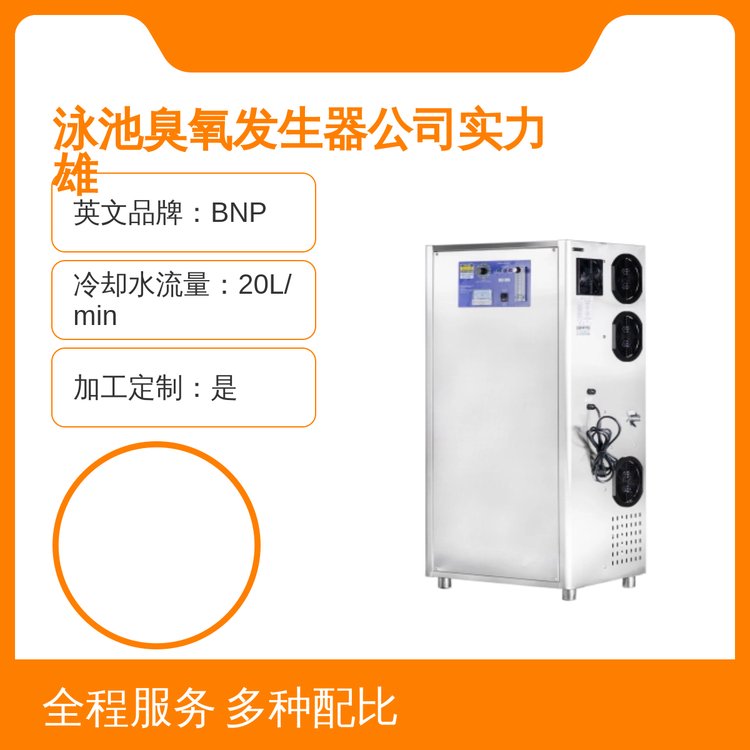 全国通用泳池臭氧发生器 大环品牌220v电源 250kg轻巧设计 口碑良好