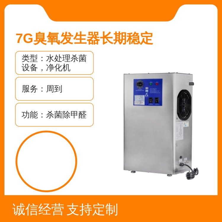 BNP品牌臭氧发生器 300w功率 不锈钢原色 全国物流 环保高效