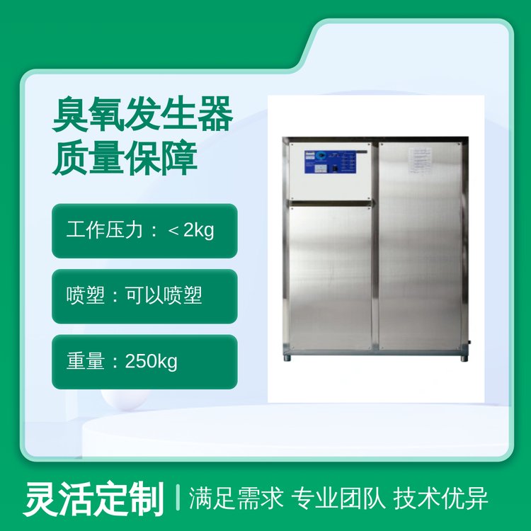 专业臭氧发生器 全国发货 喷塑不锈钢原色 实力厂家货源充足