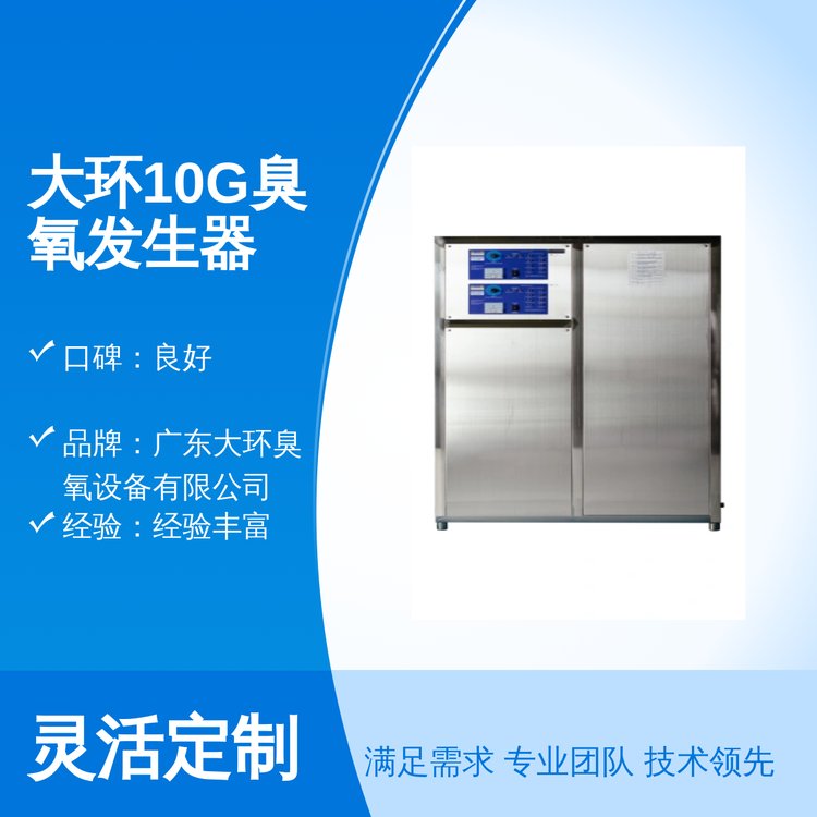 大环10G臭氧发生器 专业团队 高效服务 坚实质量 全国可售