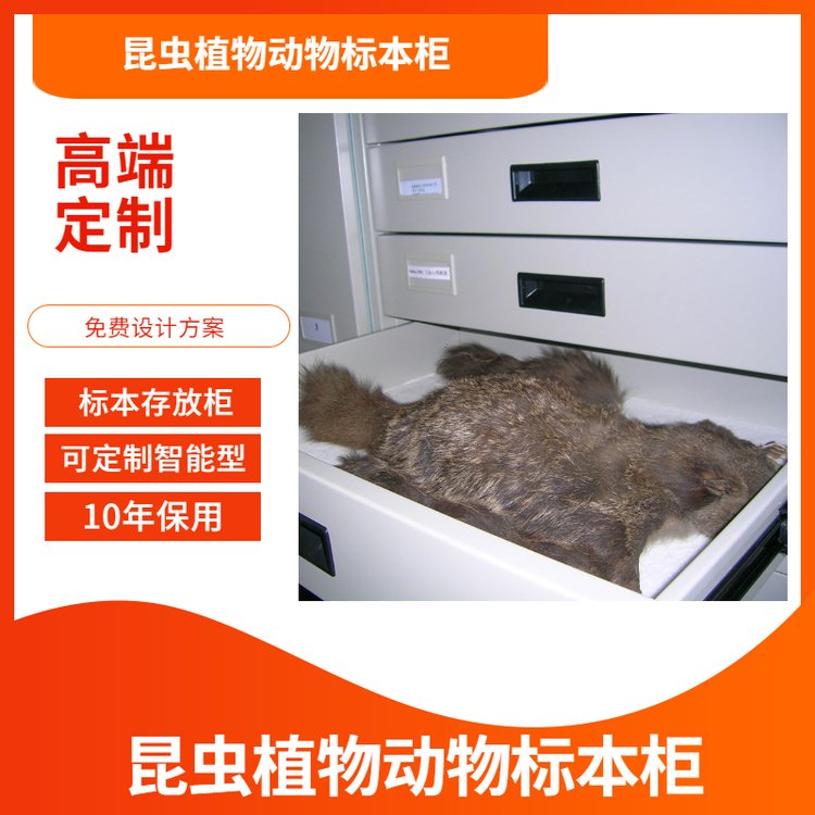动物标本密集柜标本库标本样品存储柜实验室标本保管柜定制