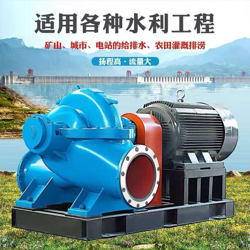 双吸泵 600S-32泵头 立式双吸泵 适用各种水利工程 运行平稳 应用广泛 