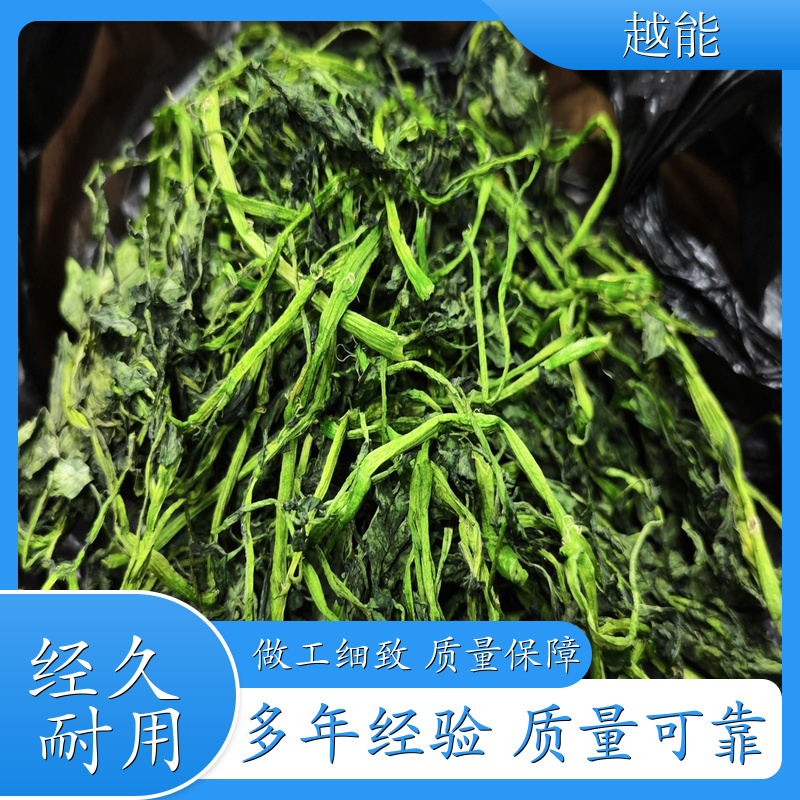 西洋菜烘干机 韶关 中型蔬菜类全自动脱水干燥设备 实用性强