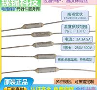 300V 漳州雅宝电子股份有限公司 保险丝  公司