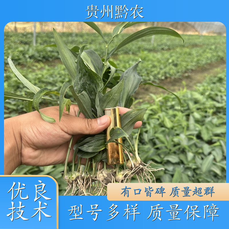 贵州黔农20吨液压挖掘机厂家直销贵州高性价比设备
