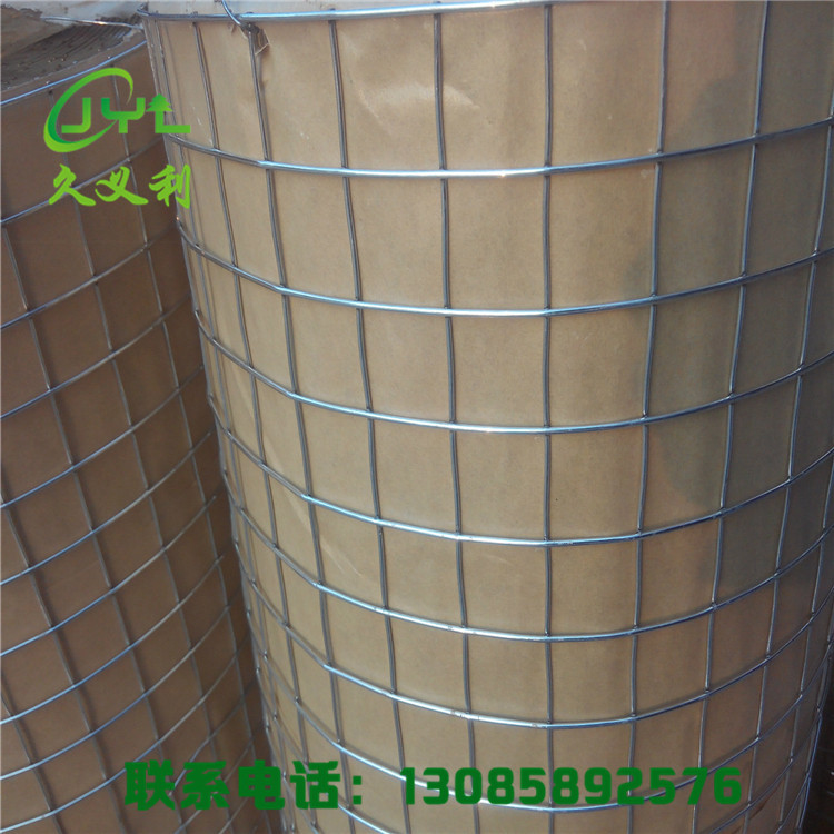 厂家供应优质建筑铁丝网镀锌 高质量电焊网抹墙焊接网