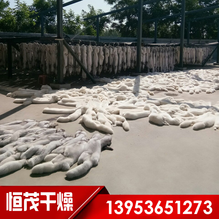 供应羊毛狐狸貂皮烘干机设备 皮毛烘干箱 热风循环烘箱 干燥机