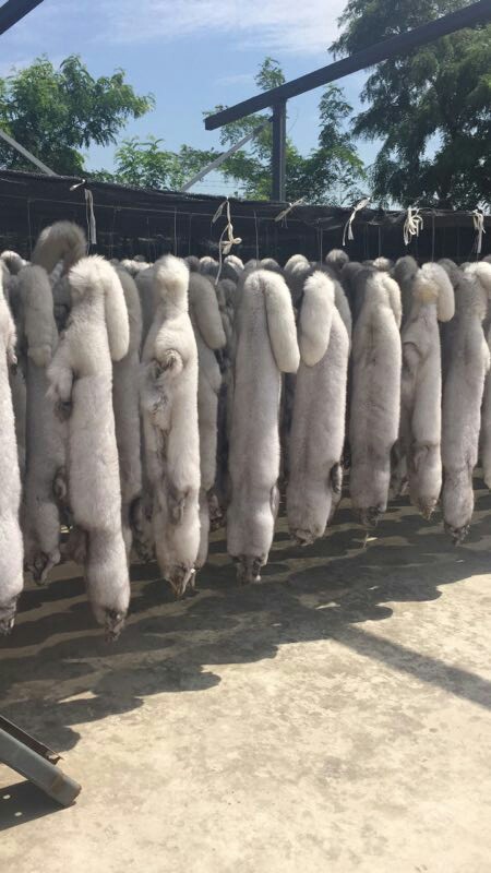 狐狸皮貂皮兔皮烘干房烘干窑干燥机厂家直销
