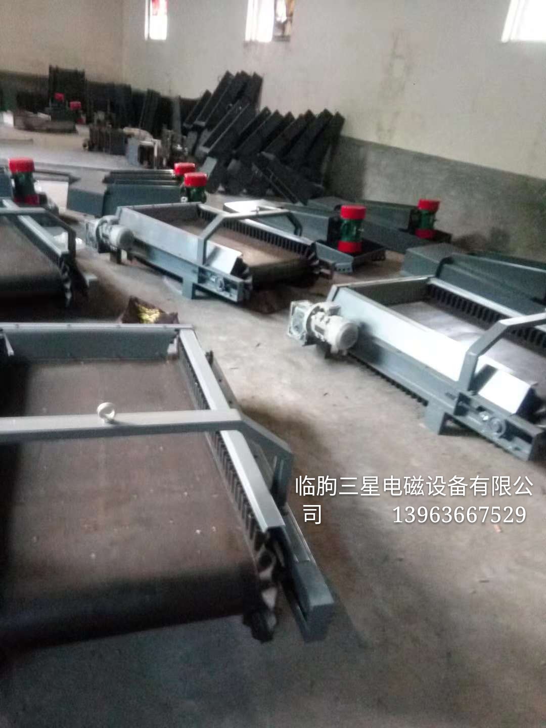 专业生产皮带秤   计量皮带秤 供应皮带秤厂家