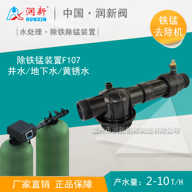 润新铁锰去除机 井水地下水黄锈水锰砂过滤器 除铁/除锰装置F107
