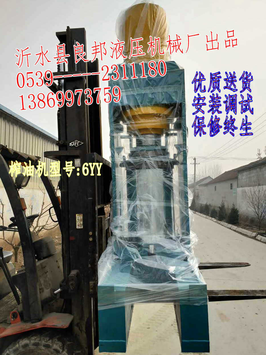 液压茶籽榨油机 油茶榨油机 山茶籽榨油机 茶籽液压榨油机