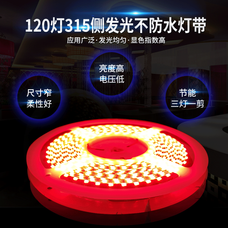 【315侧发光灯带】8MM120灯315侧发光不防水灯带道路指示牌用