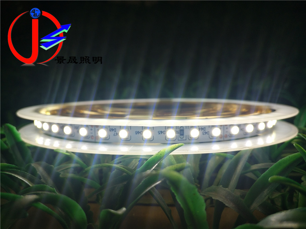 供应LED灯带 24Vled软灯条柜台LED灯条灯带家具LED灯条灯带