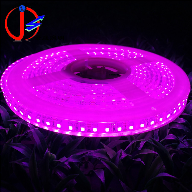 LED灯带户外套管灌硅胶防水软灯条现货供应