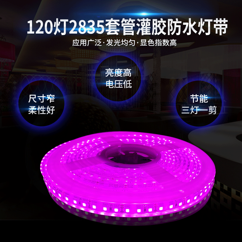 2835防水灯带供应高亮120灯2835灌胶防水灯带泳池水底室外照明用