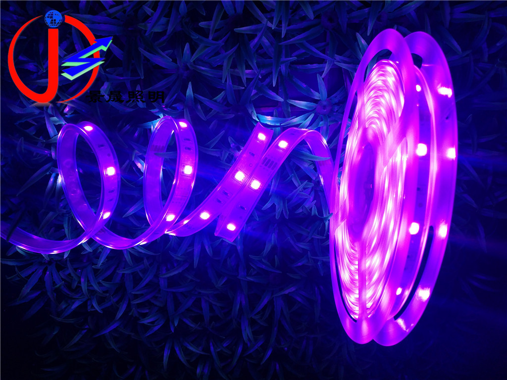 LED灯带12V30珠/m5050灯带七彩灯带户外高亮广告招牌灯箱防水灯带