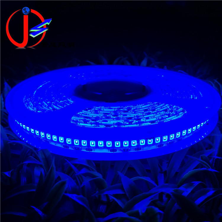 LED灯带单排240灯2835防水灯带蓝色 12V24V高亮防水灯条蓝光