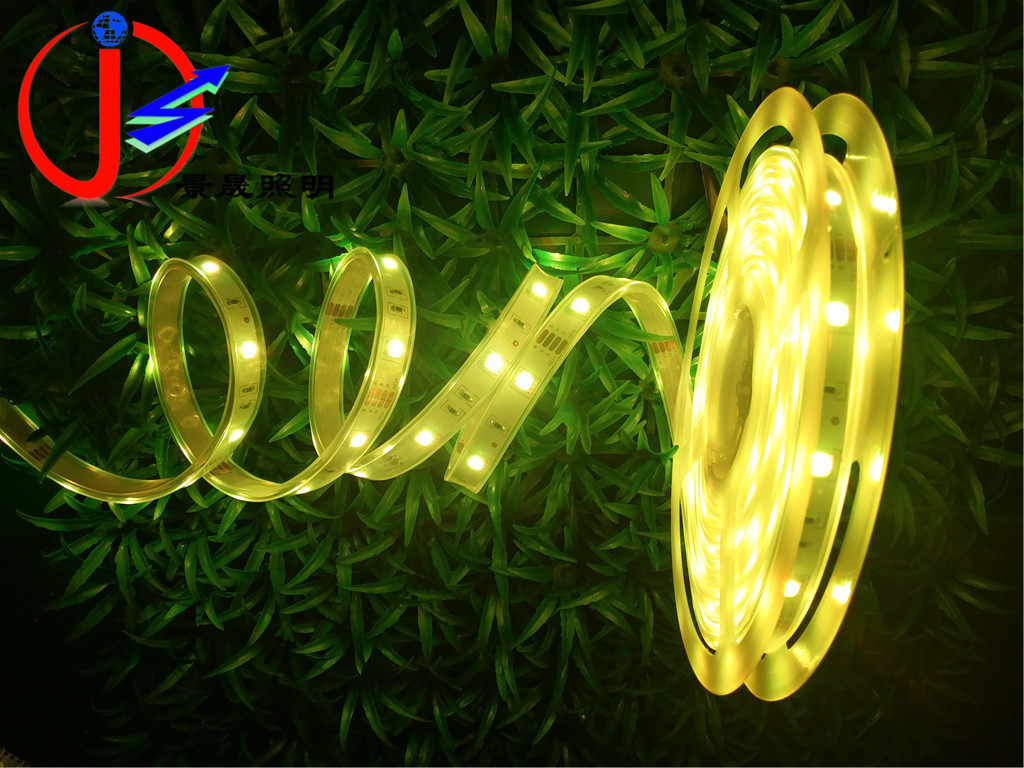 厂家直销12V套管防水LED灯带5050RGB 七彩变色贴片LED灯条12V