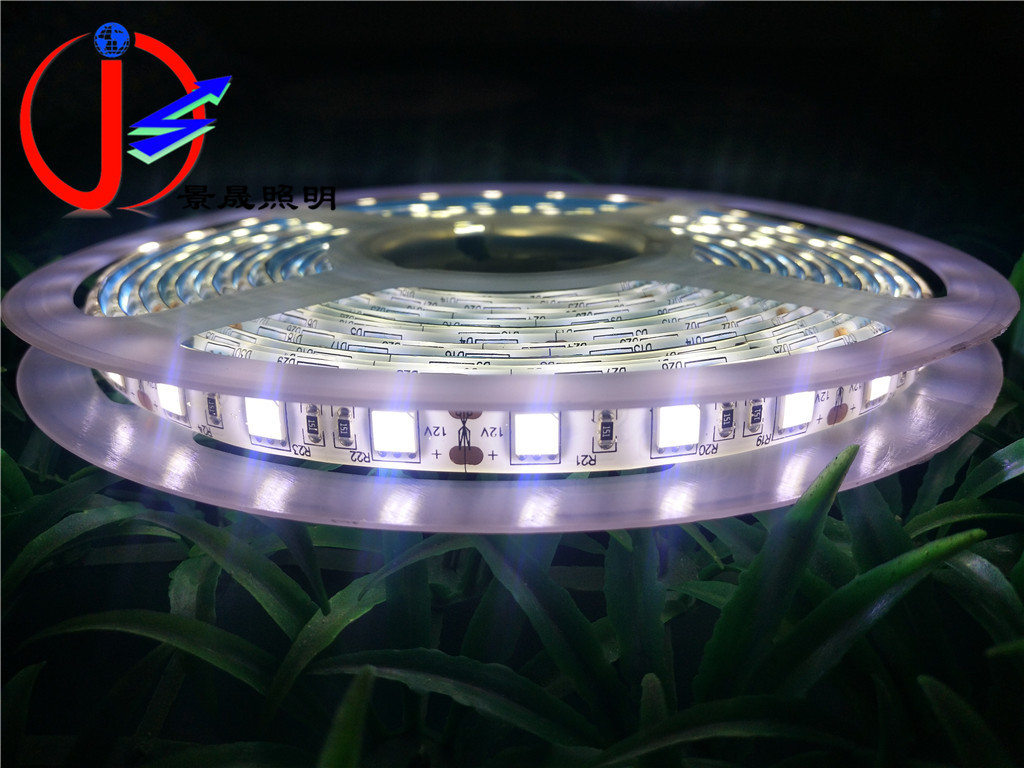5050防水LED灯带 高显60灯/m5050贴片防水LED软灯条 LED水族灯