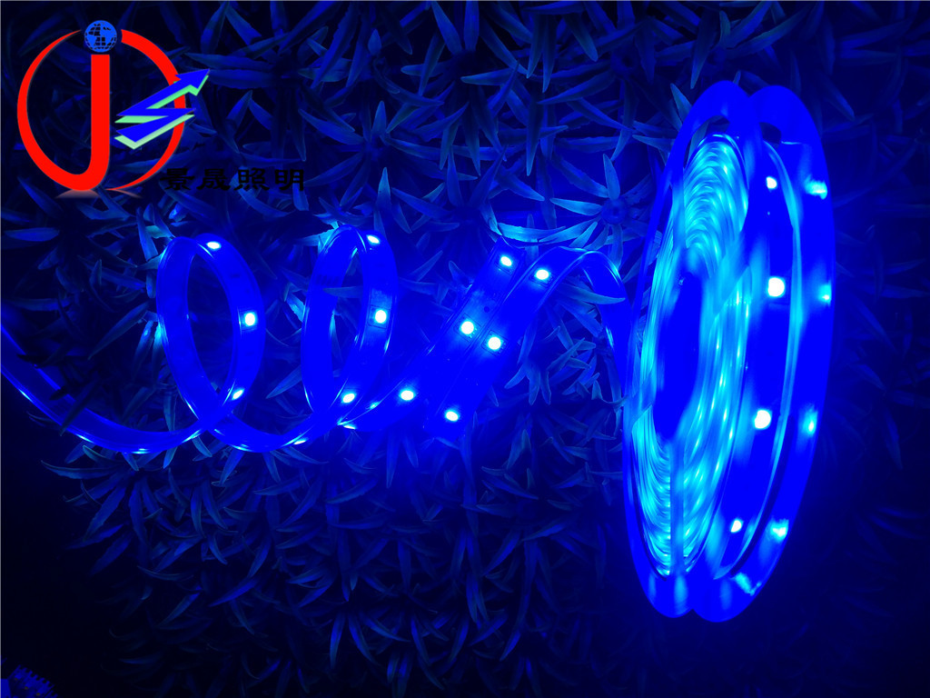 LED灯带七彩变色防水灯条 户外照明12V IP67套管防水灯带5050RGB
